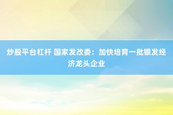 炒股平台杠杆 国家发改委：加快培育一批银发经济龙头企业