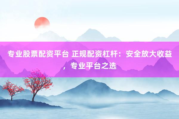 专业股票配资平台 正规配资杠杆：安全放大收益，专业平台之选