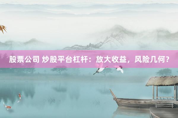 股票公司 炒股平台杠杆：放大收益，风险几何？