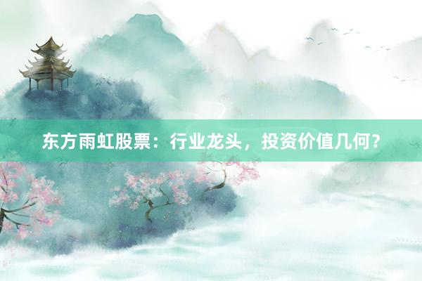东方雨虹股票：行业龙头，投资价值几何？