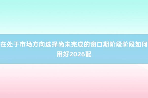 在处于市场方向选择尚未完成的窗口期阶段阶段如何用好2026配