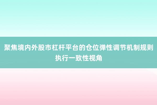 聚焦境内外股市杠杆平台的仓位弹性调节机制规则执行一致性视角