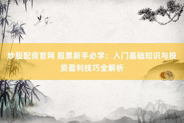 炒股配资官网 股票新手必学：入门基础知识与投资盈利技巧全解析