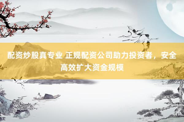 配资炒股真专业 正规配资公司助力投资者，安全高效扩大资金规模