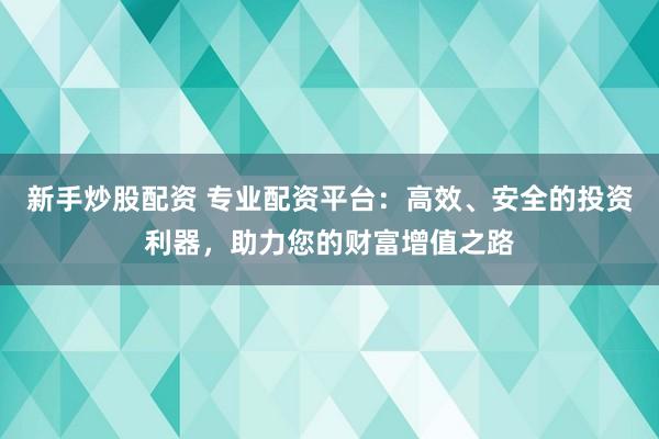 新手炒股配资 专业配资平台：高效、安全的投资利器，助力您的财富增值之路
