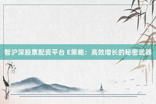 智沪深股票配资平台 E策略：高效增长的秘密武器